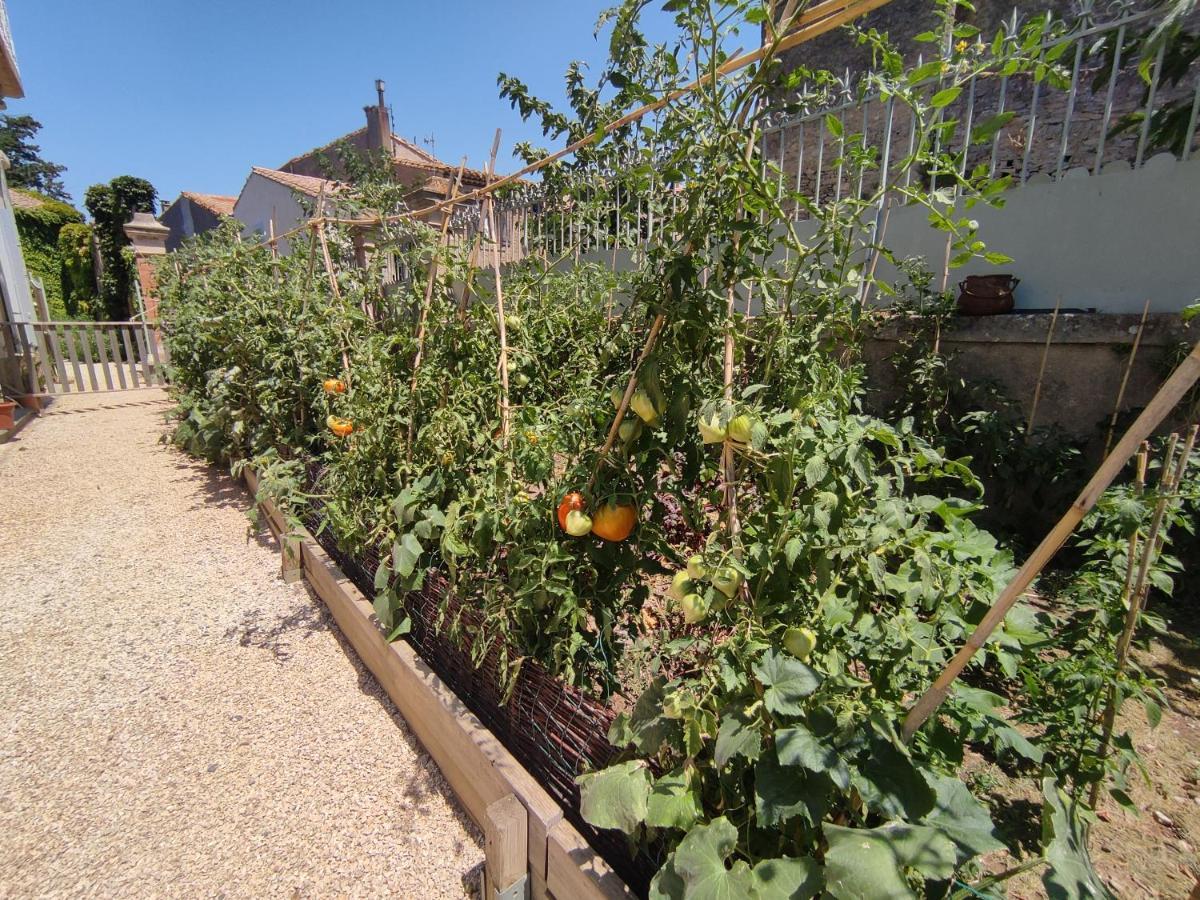 The Cottage, Clos Des Archers Aigues-Vives (Aude) Exterior foto